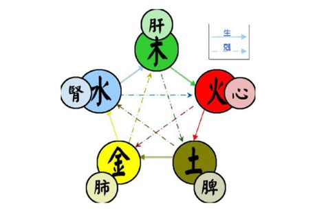 金生火 五行|五行（对万事万物的取象比类）